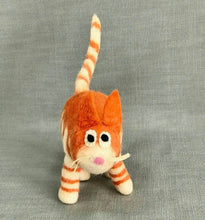 Cat - Orange Tabby
